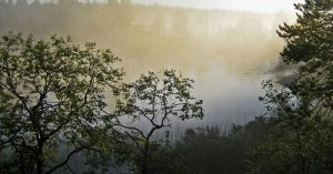 Morgentåke over Sømåa