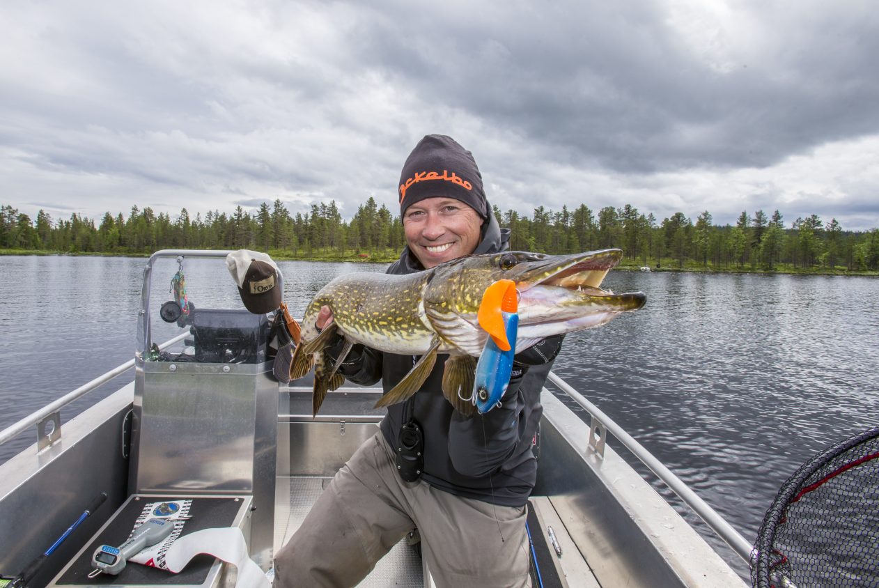 Fornøyd gjeddefisker med fangst fra Harsjøen i Rendalen